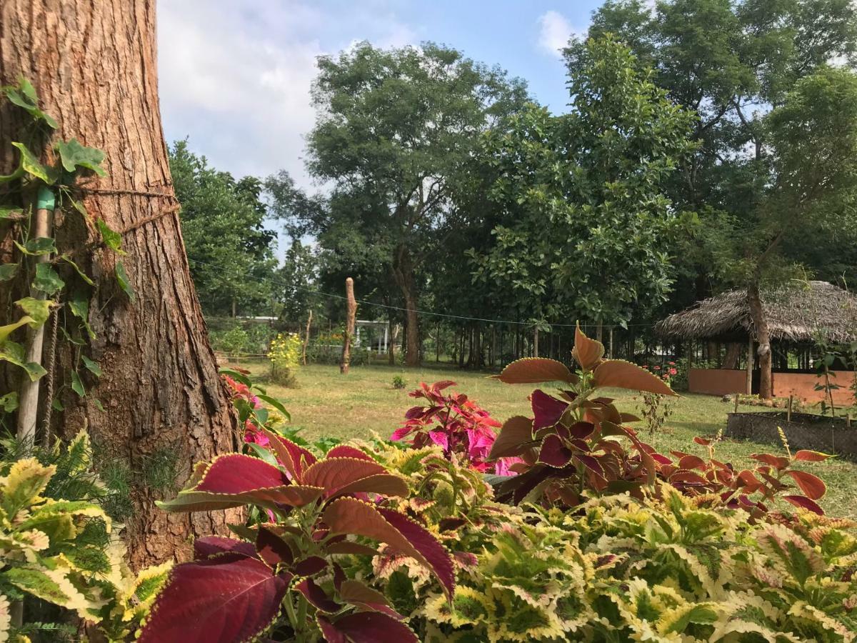 Peacock Resort Anuradhapura Exterior photo