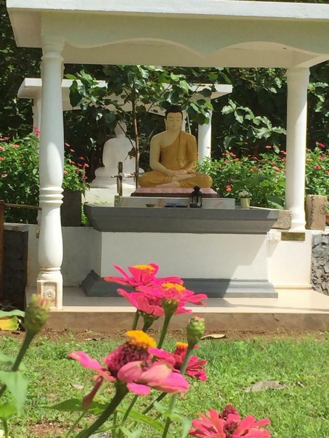 Peacock Resort Anuradhapura Exterior photo